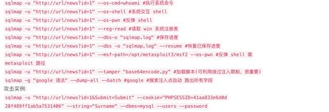 Sqlmap Example 的图像结果
