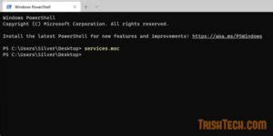 Service Manager Windows 11 に対する画像結果