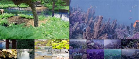 Image result for Computer Vision for Gardens