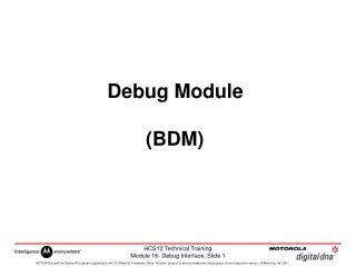BDM Programming Module に対する画像結果