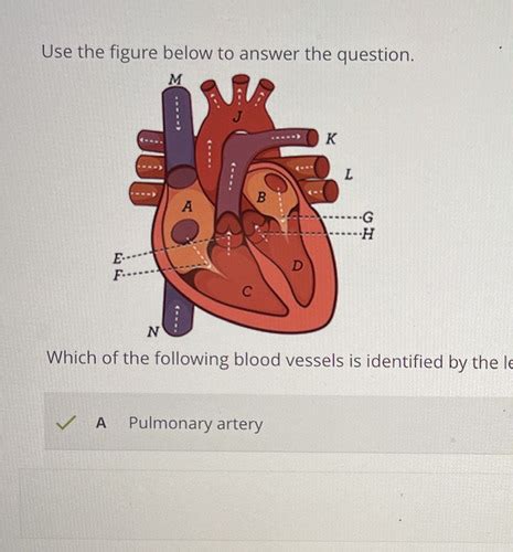 Quizlet Print Out Test に対する画像結果