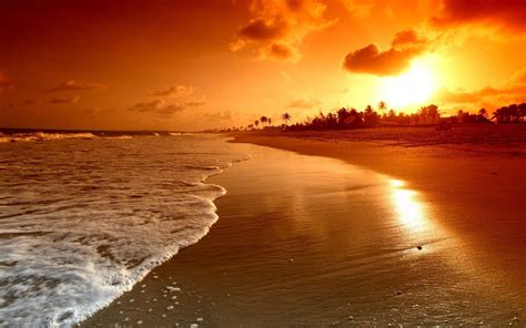 Image result for Sunset Lighting Red