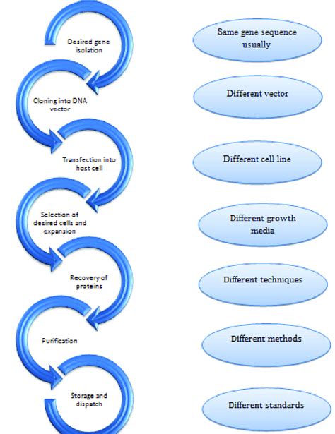 Afbeeldingsresultaten voor Biosimilar Development