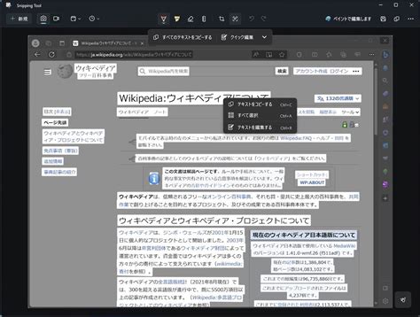 Code. Copy Tool に対する画像結果