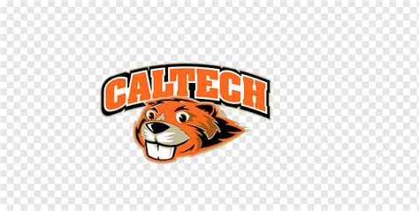 Image result for Caltech Icon