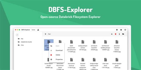 Toradh íomhá ar Where Is dBFS File Browser Data Bricks