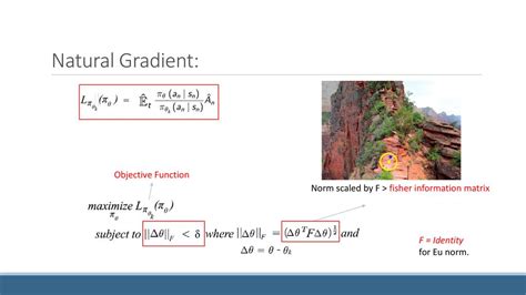 Objective Function Gradient に対する画像結果