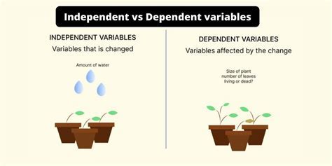 Example of Independent Variable in Math માટે ઇમેજ પરિણામ