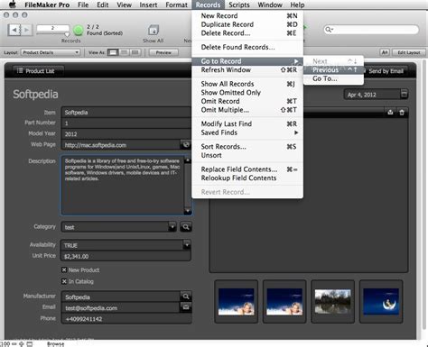 FileMaker Pro Client に対する画像結果