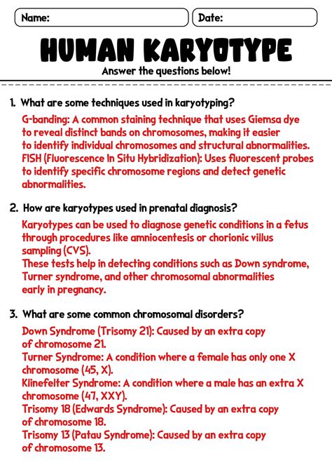 Toradh íomhá ar Karyotype Worksheet Answer Key