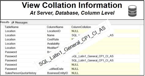 Image result for Different Type of Collation in SQL