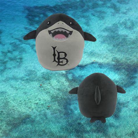 Image result for CSULB Mascot