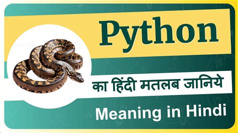 Python Meaning in Hindi に対する画像結果