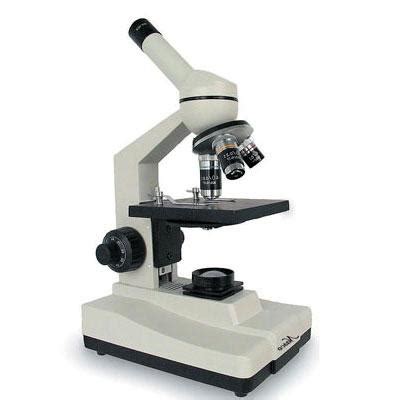Image result for Light Microscope Specimen