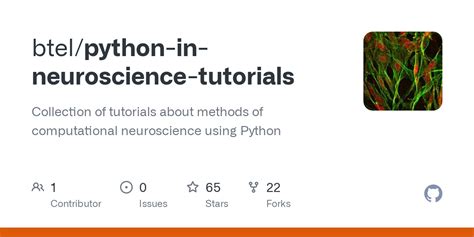 Afbeeldingsresultaten voor Human Brain in Python