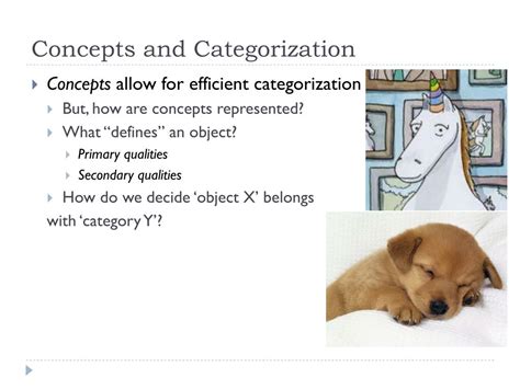 Image result for Definitional Categorization