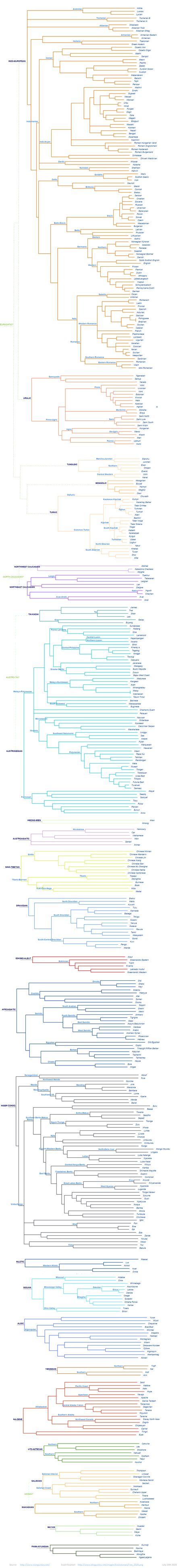 Image result for Computer Language Lineage Tree