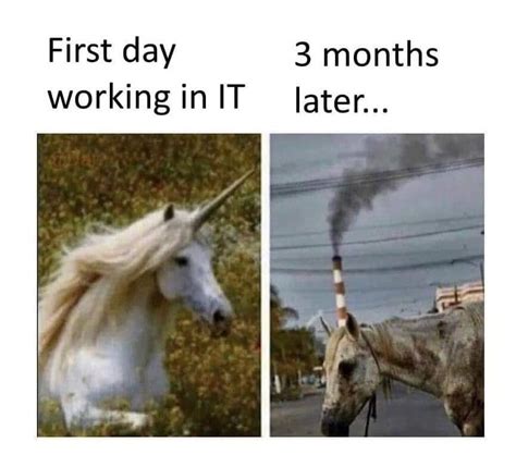 Image result for Full-Stack Memes