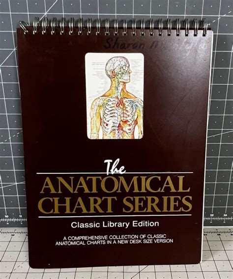 Image result for Anatomical Chart