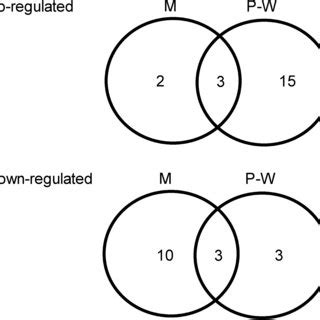 Afbeeldingsresultaten voor Array Programming Venn Diagram