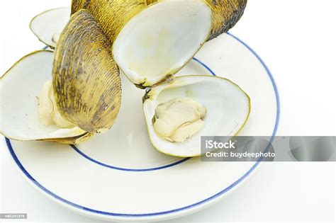 Afbeeldingsresultaten voor How to Eat Bivalves
