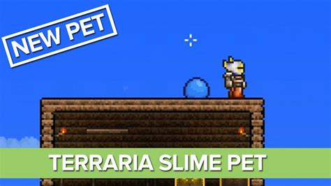 Texture Pack - The Petri Dish Slime Pet, REBORN! | Terraria Community ...