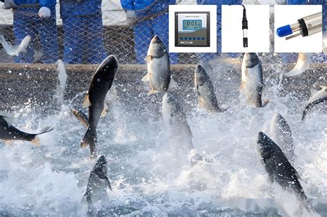 Dissolved Oxygen Sensor に対する画像結果