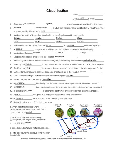 Image result for Classification Practice Worksheet