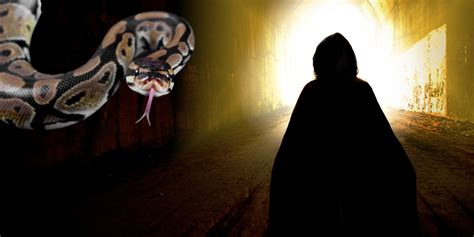 Image result for Spirit of Python