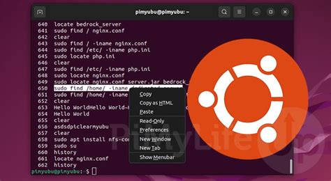 Toradh íomhá ar HelloWorld Code in Ubuntu Terminal