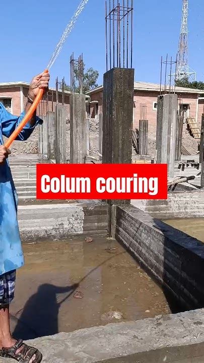 Column Curing に対する画像結果