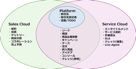 What Is Salesforce Software に対する画像結果