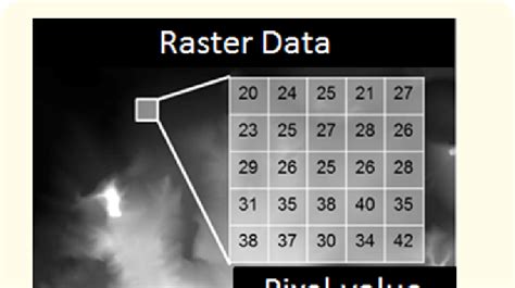 Raster Data に対する画像結果