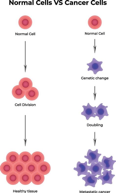 Afbeeldingsresultaten voor Normal Cell Icon