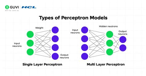 Image result for Explain Perceptron Learning Rule