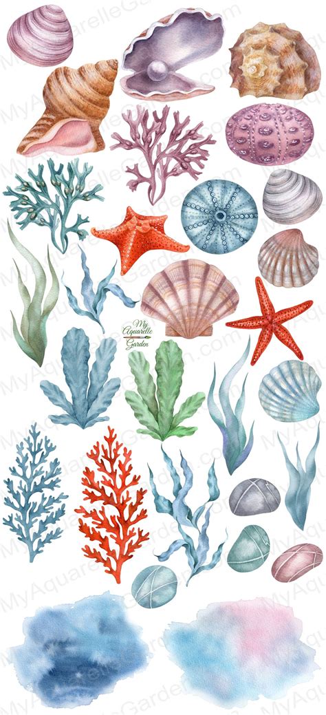 Image result for Coral Creatures Drawing