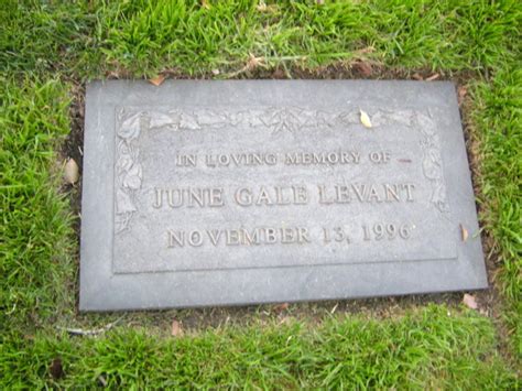 Image result for June Levant