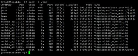 Toradh íomhá ar Lsof Java Result
