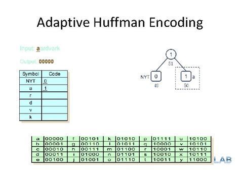 Image result for Hofmann Image Encoding