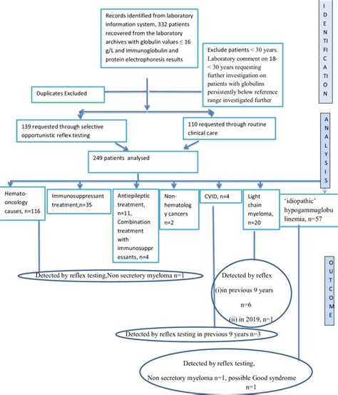 Flow chart of analysis of patient samples. | Download Scientific Diagram