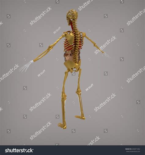 Python Skeleton 3D に対する画像結果