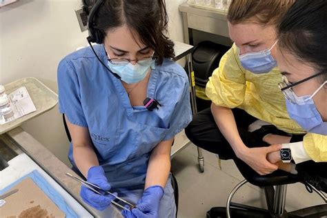 Toradh íomhá ar Lab Assistant Pathology