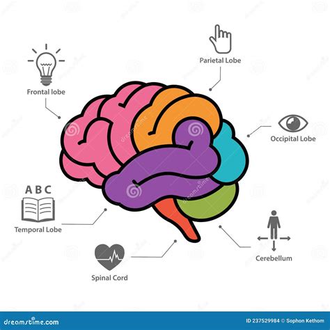 Image result for Simple Brain Self-Development