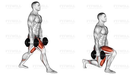 نتيجة الصورة لـ Core Exercise Split