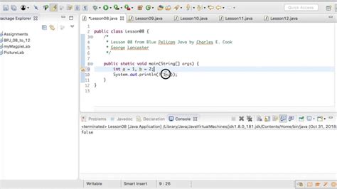 Toradh íomhá ar Java Boolean Array Visualized
