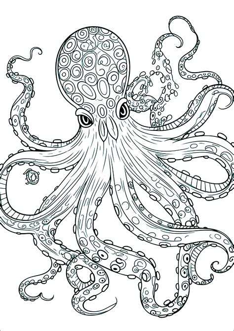 Image result for Octopus Colouring In