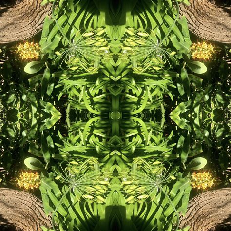 Good Alien に対する画像結果