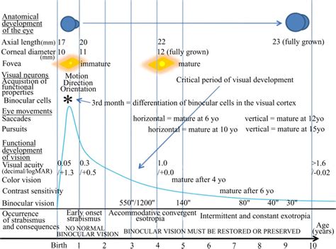 Image result for Visual Development Time