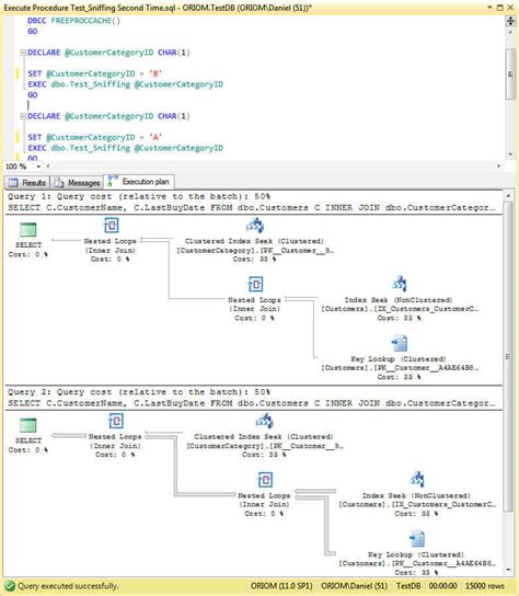 EXEC SQL Example with Parameter in SQL Server に対する画像結果