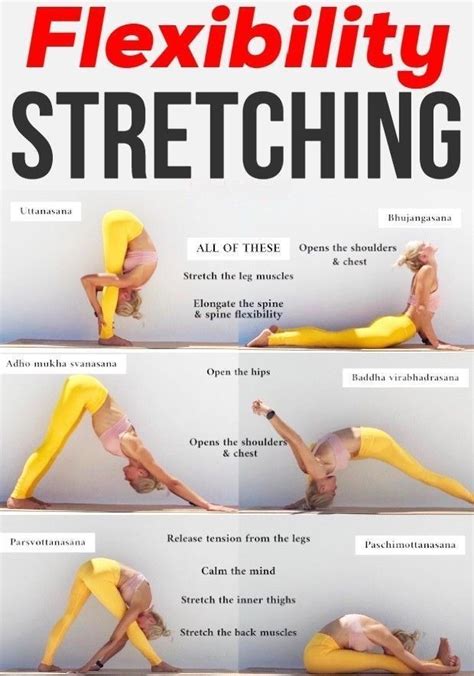 Image result for Stretch for Flexibility